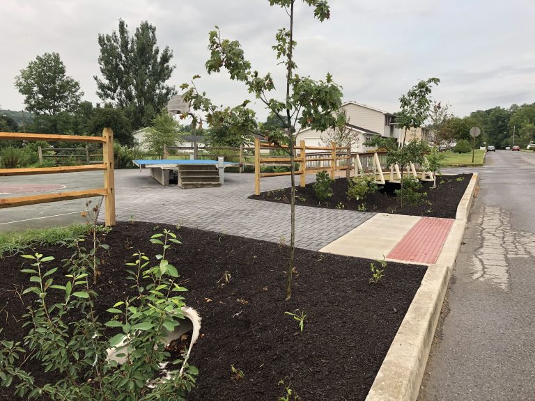 Municipal_Park-Dvill-PA